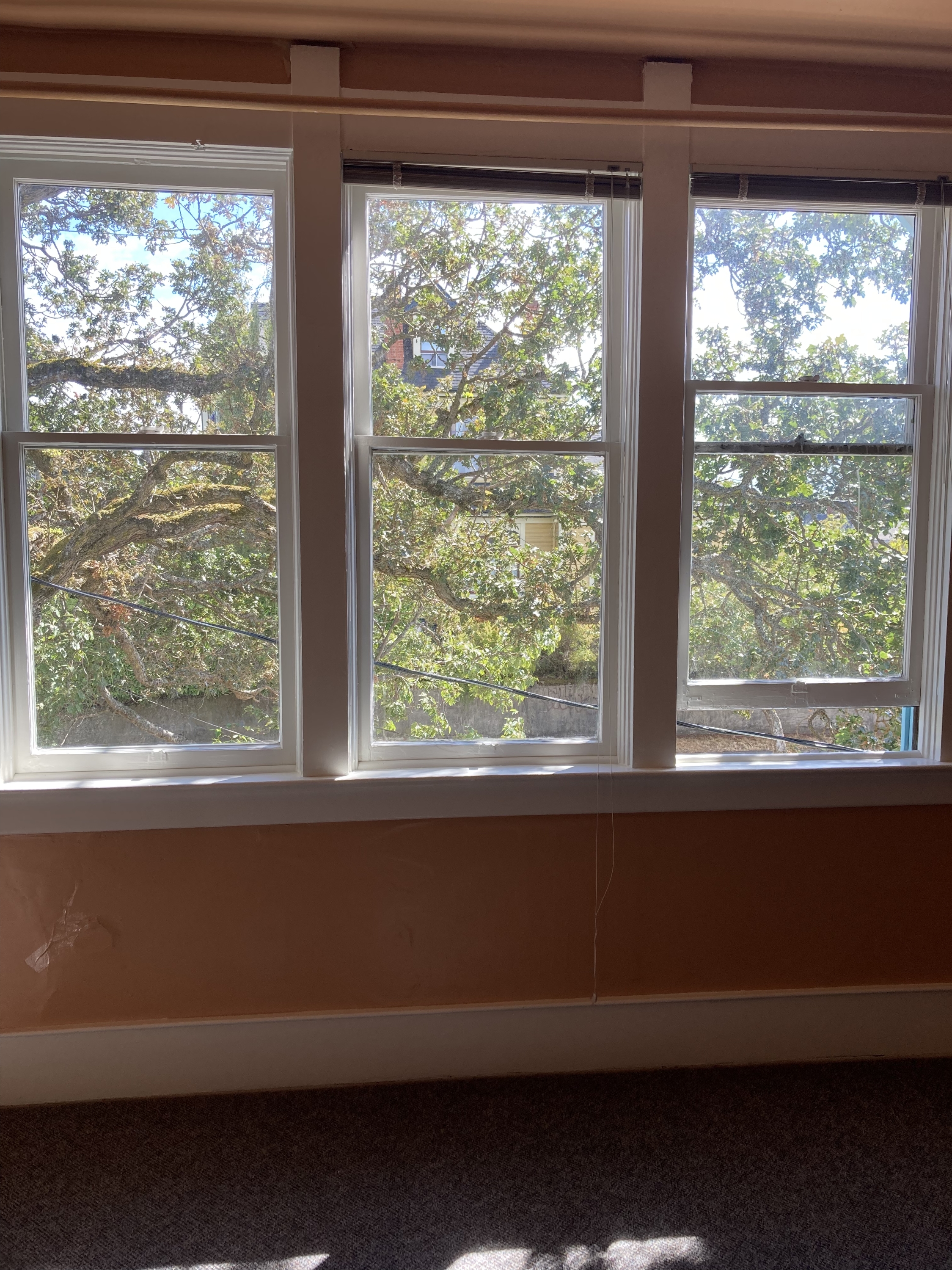 1476 Gladstone Avenue - Suite 4